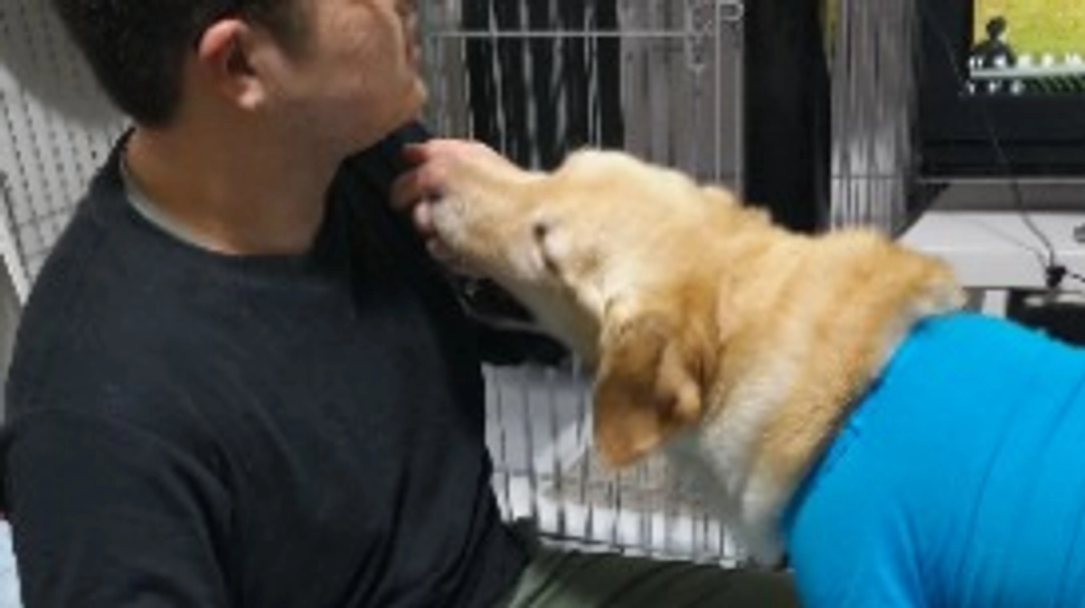 ベイリーのお正月