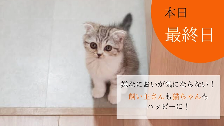 もっと猫を飼いやすい環境へ。ねこ用換気扇内蔵型トイレを開発！