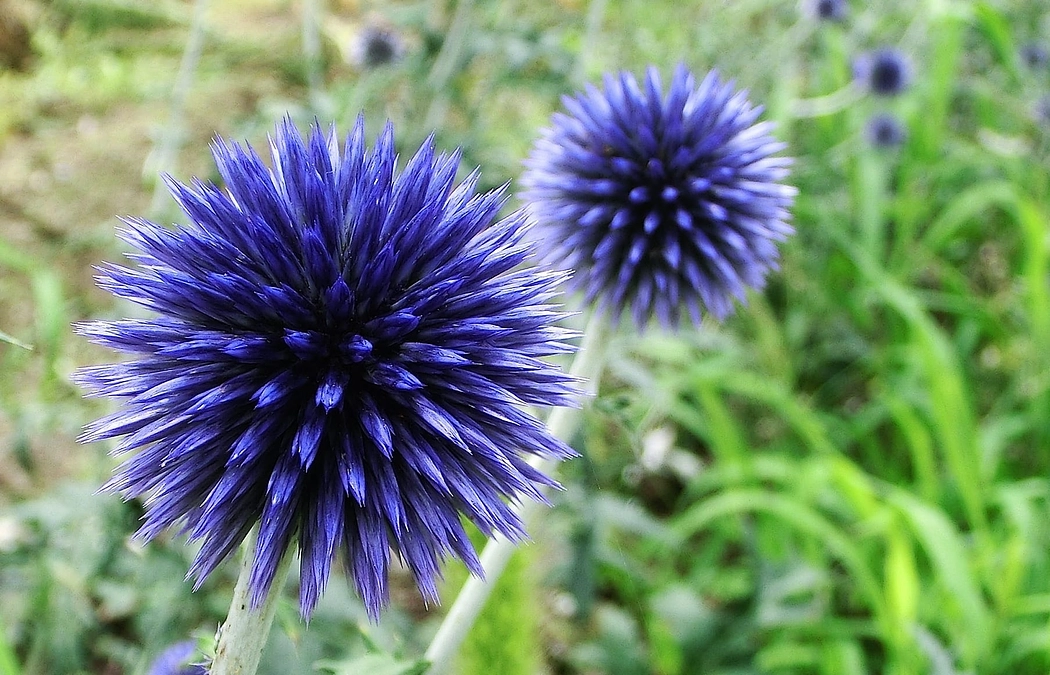 「会」の正式名称が決まりました