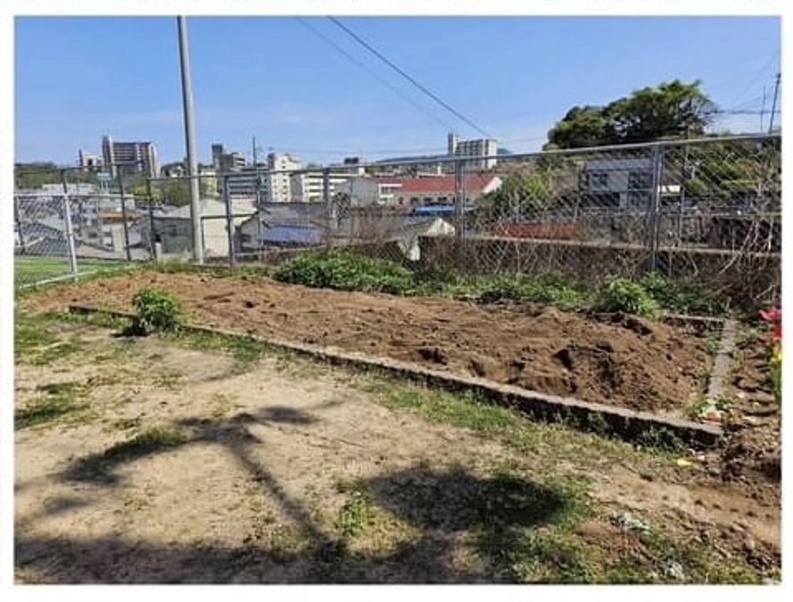 ☆★山口幼稚班便り★☆