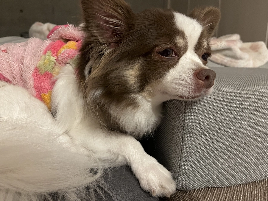 2023.11.27 達成率9%💨