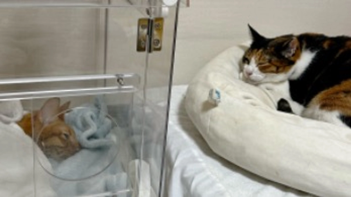 9/20 輸血をしました