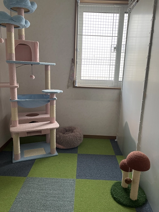 【残り18日】21日目の夕方