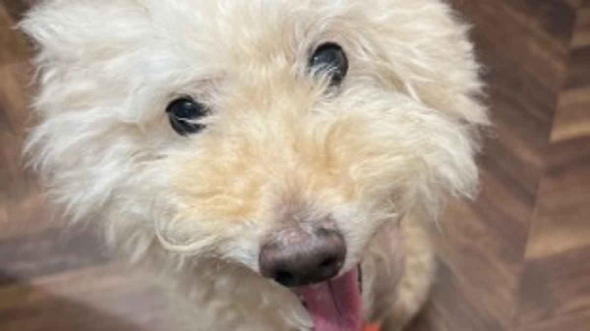 術後の面会に行ってきました❗️