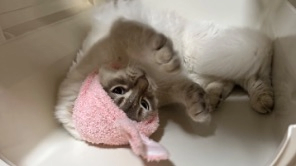 本日22時半よりインスタライブ致します。