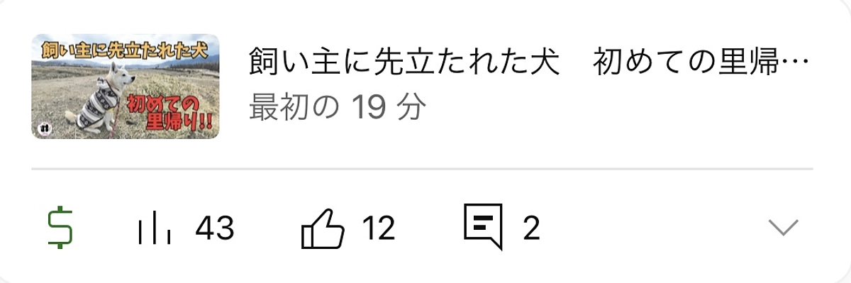初めての里帰り