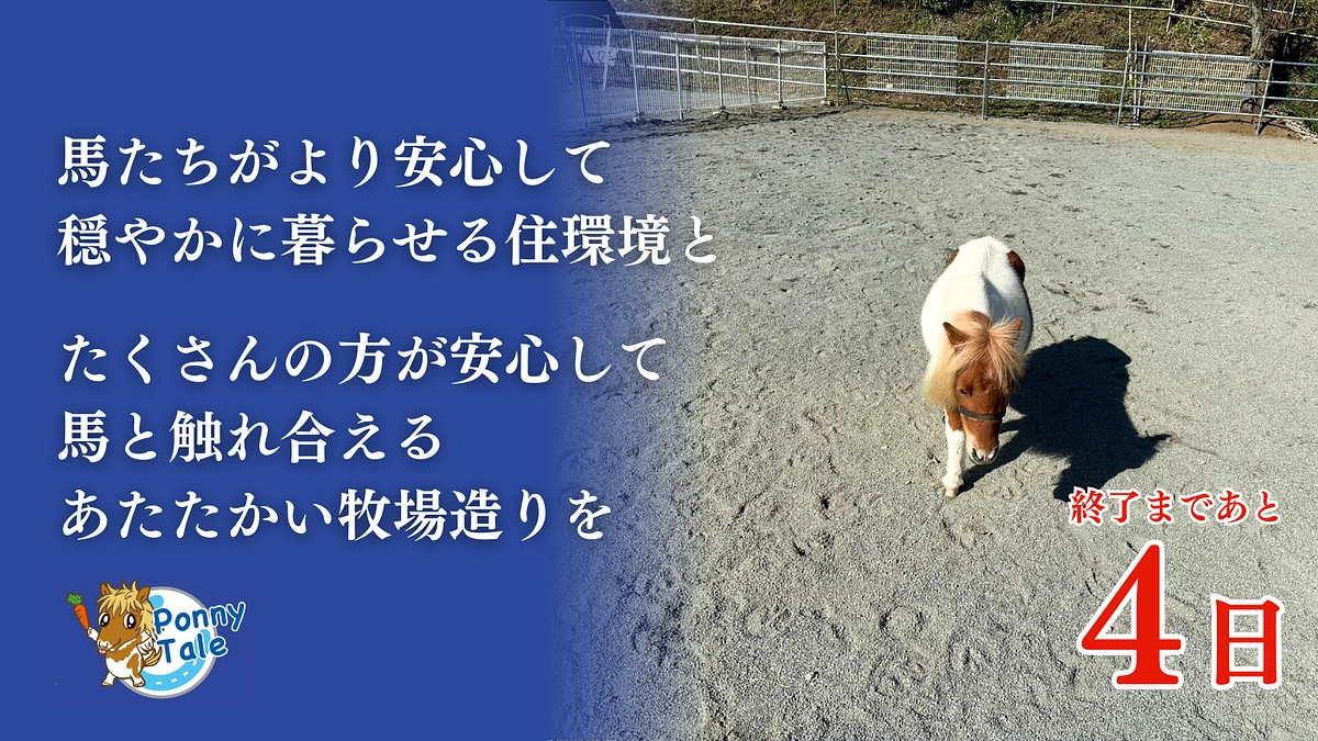 【残り4日】いただいた応援メッセージ