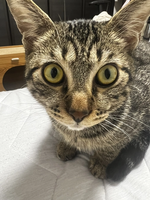 残り4日になりました