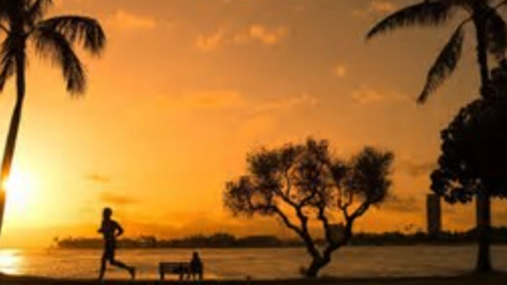 Youtuberがホノルルマラソンに挑戦し、誰かの勇気になりたい！