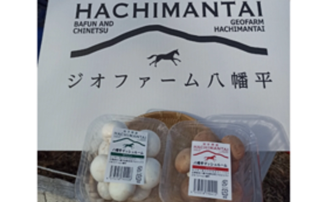 マッシュルームで応援！