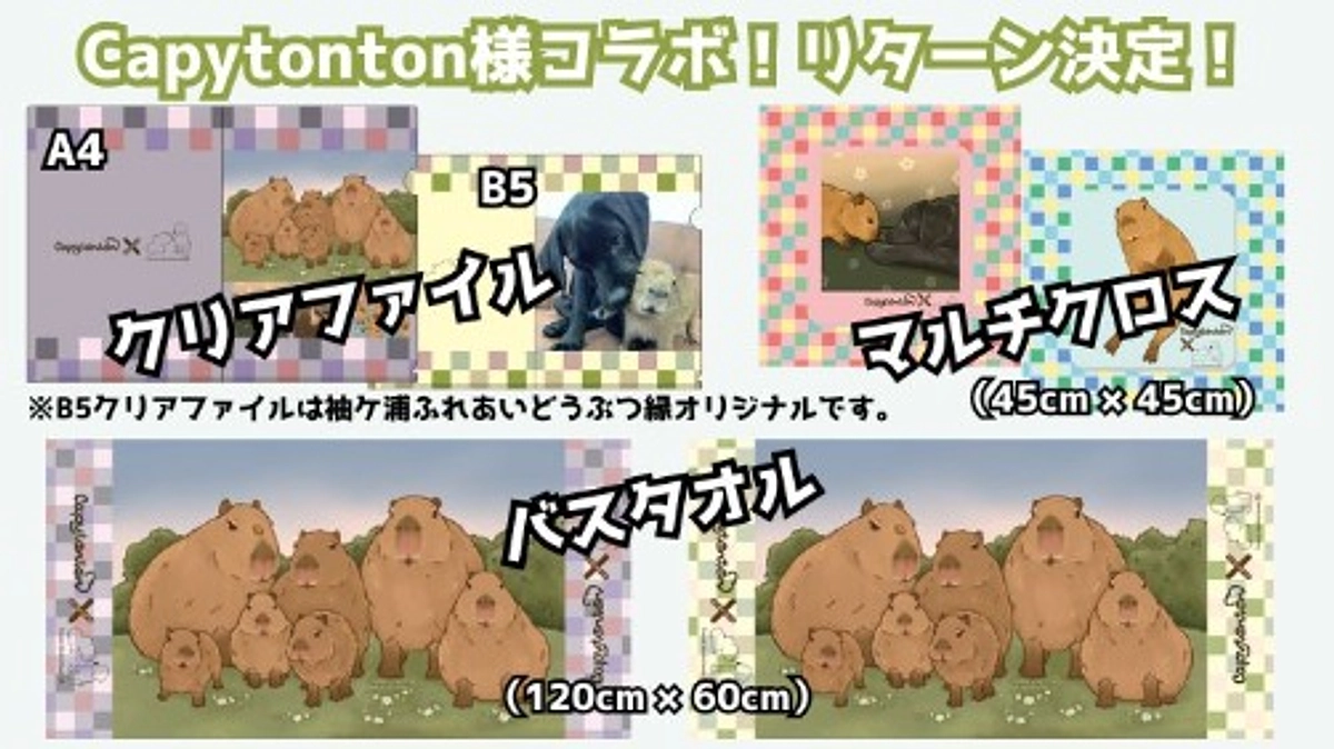 リターン追加！Capytonton様イラストグッズ＆クリアファイルのデザイン決定！