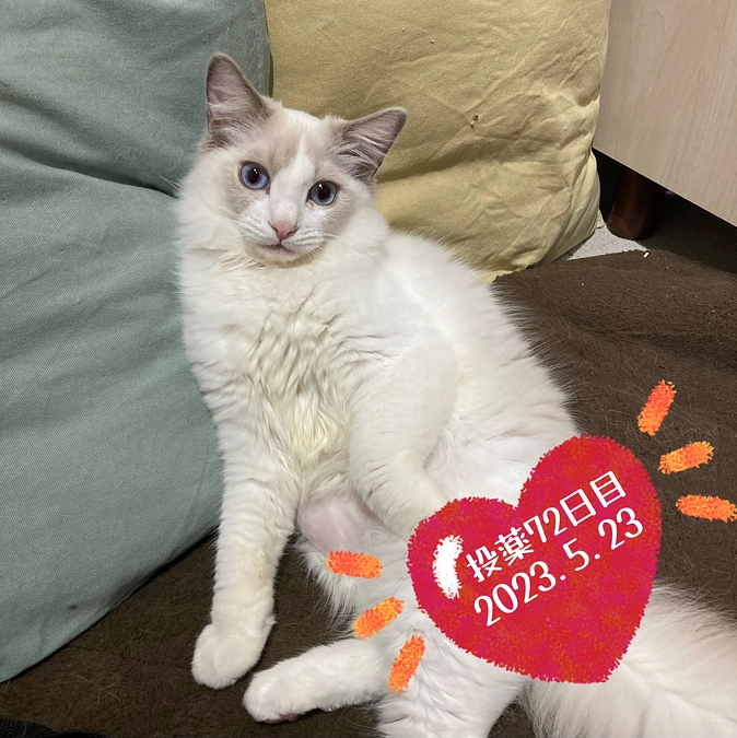 投薬７２日目(2023.5.23)&ご支援のお知らせ