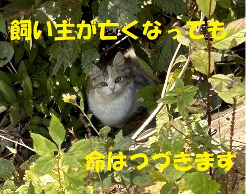 【こんなに懐いているのに・・・】