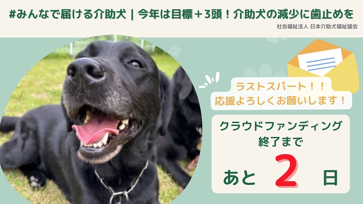 「#みんなで届ける介助犬」プロジェクト。終了まであと2日となりました！