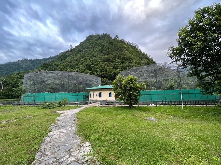 ブータンでシロハラサギ細胞保存調査