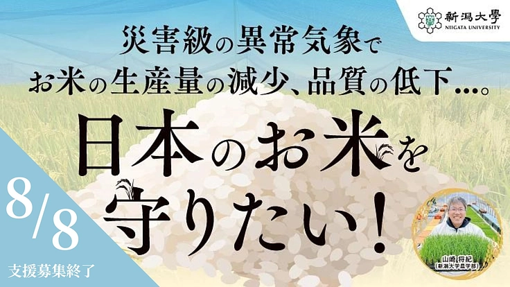 暑さでお米がピンチ！新品種と栽培対策の確立で日本のお米を守りたい！