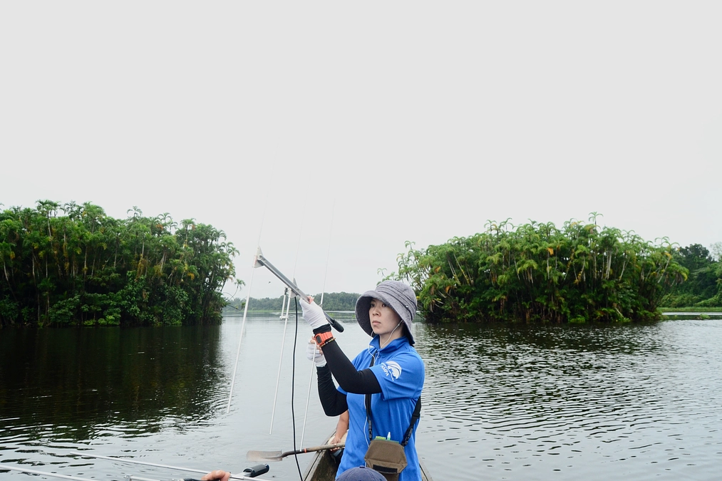 マナティー好きが研究をはじめるには