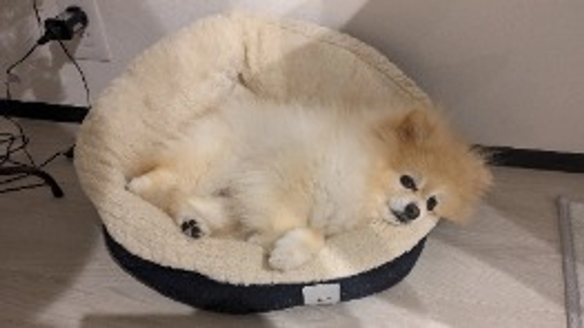 公開3日目になりました！