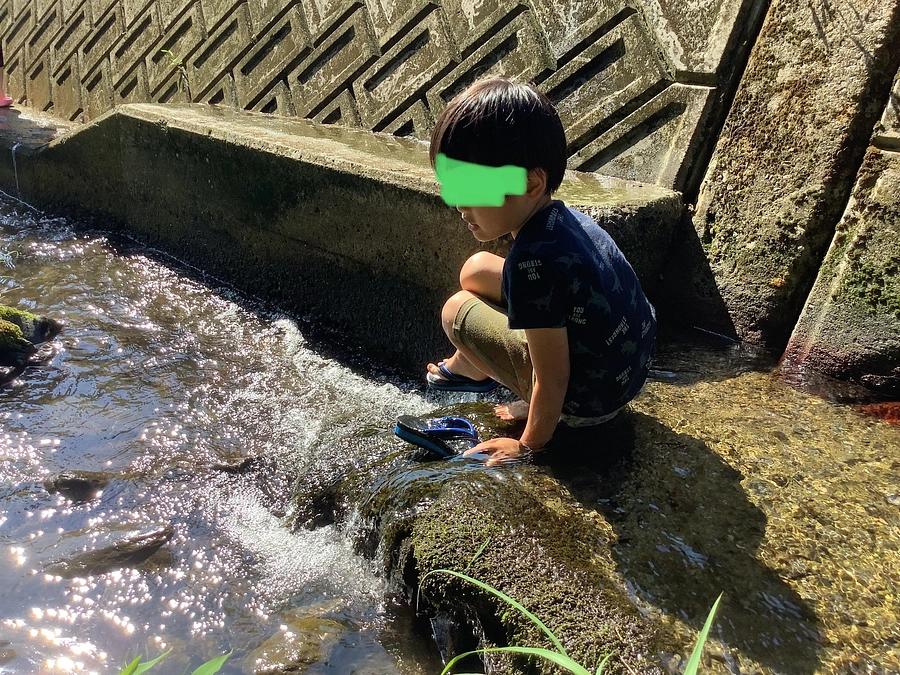 夏休みだけ利用するのにいったいいくらかかるんですか？