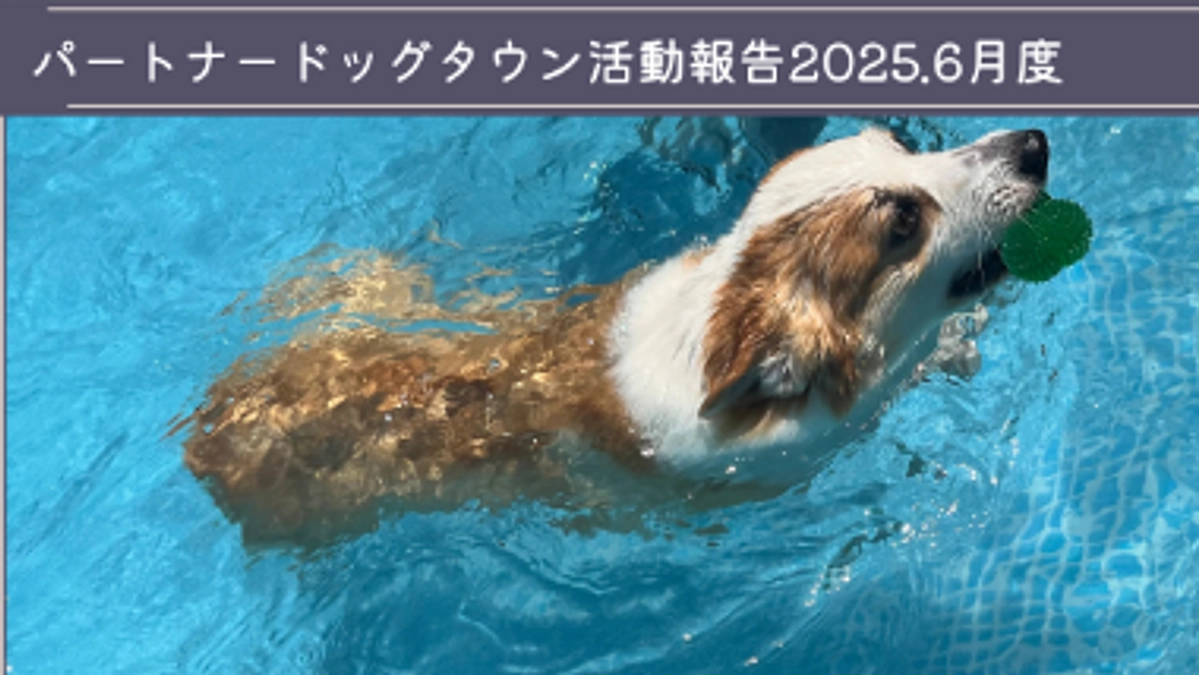 2025年6月活動報告