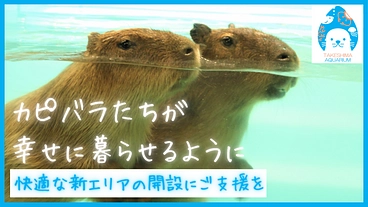 カピバラも人も幸せに！竹島水族館パワーアッププロジェクト第一弾 のトップ画像