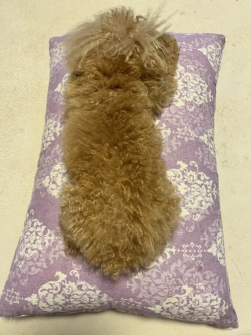 代理支援頂きました😭