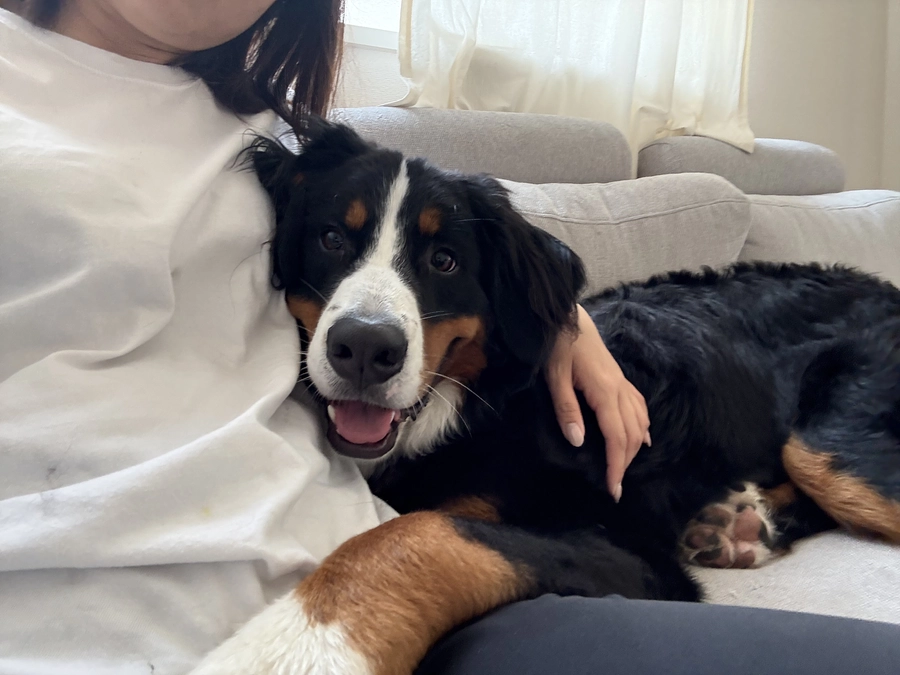 麻布大学の青木先生よりお電話がありました