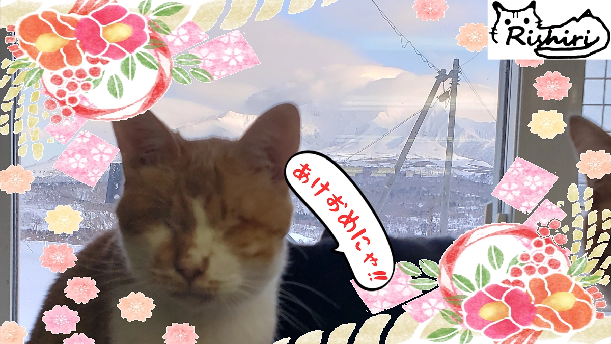 あけましておめでとうございます！今年もよろしくお願いします！【新年のあいさつと、今年の目標！】