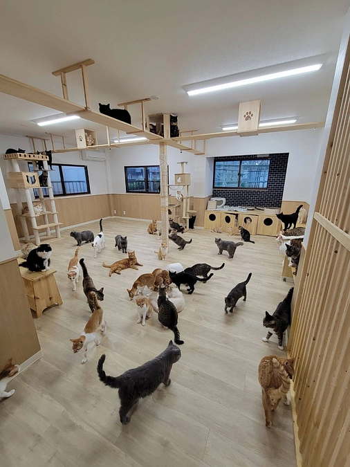 皆さんのお力をお借りしないと活動を続けることが出来ないのであれば辞めるべきとのご意見は承知してます。