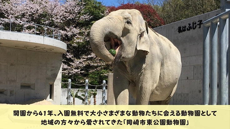 41年間みんなに愛される岡崎市東公園動物園。動物の住環境向上へ！ 2枚目