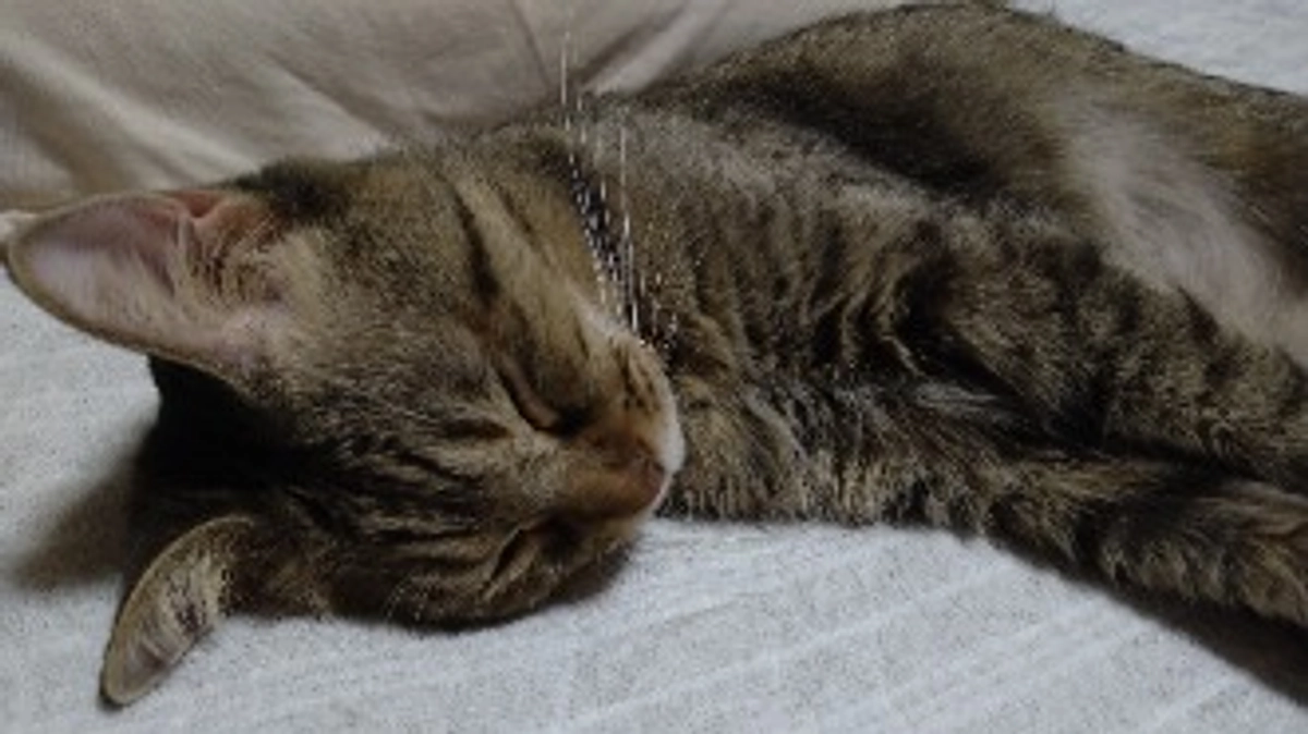 8月10日〈投薬31日目〉