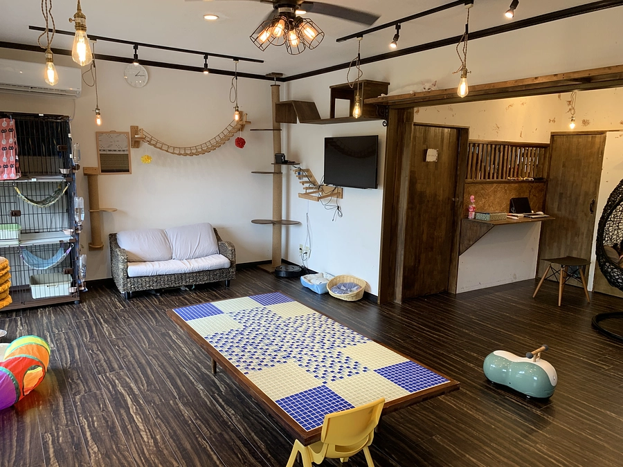 久米島での活動