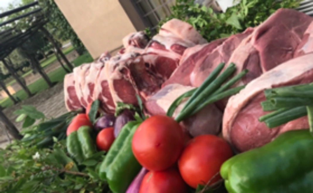 前菜レシピコース