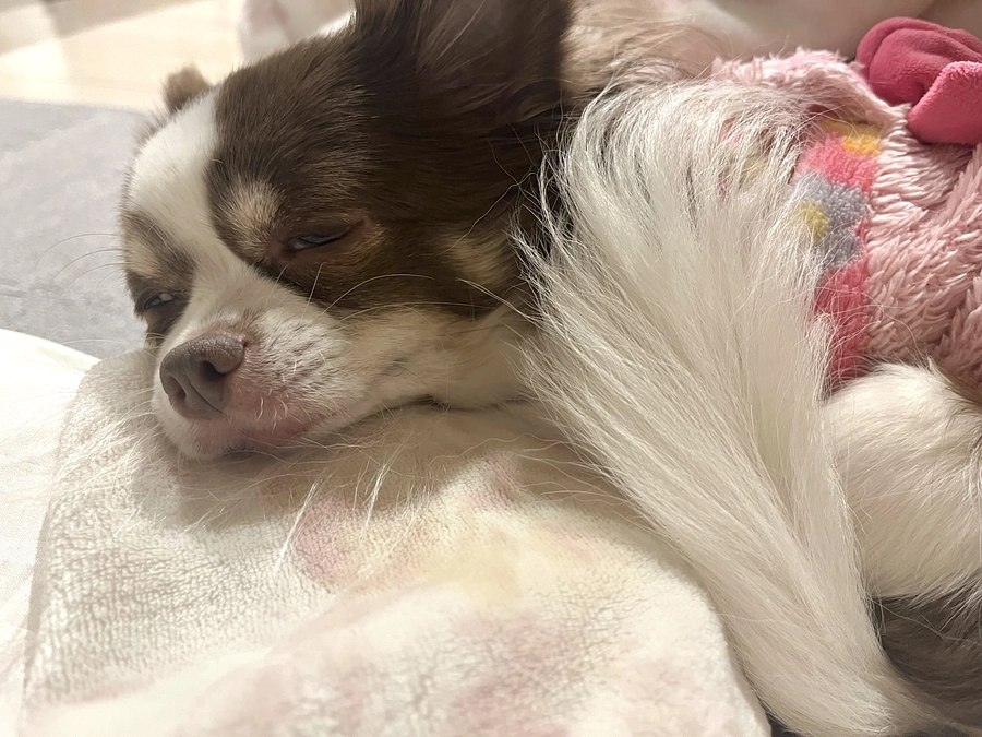 2024.01.14 残り5日となりました。