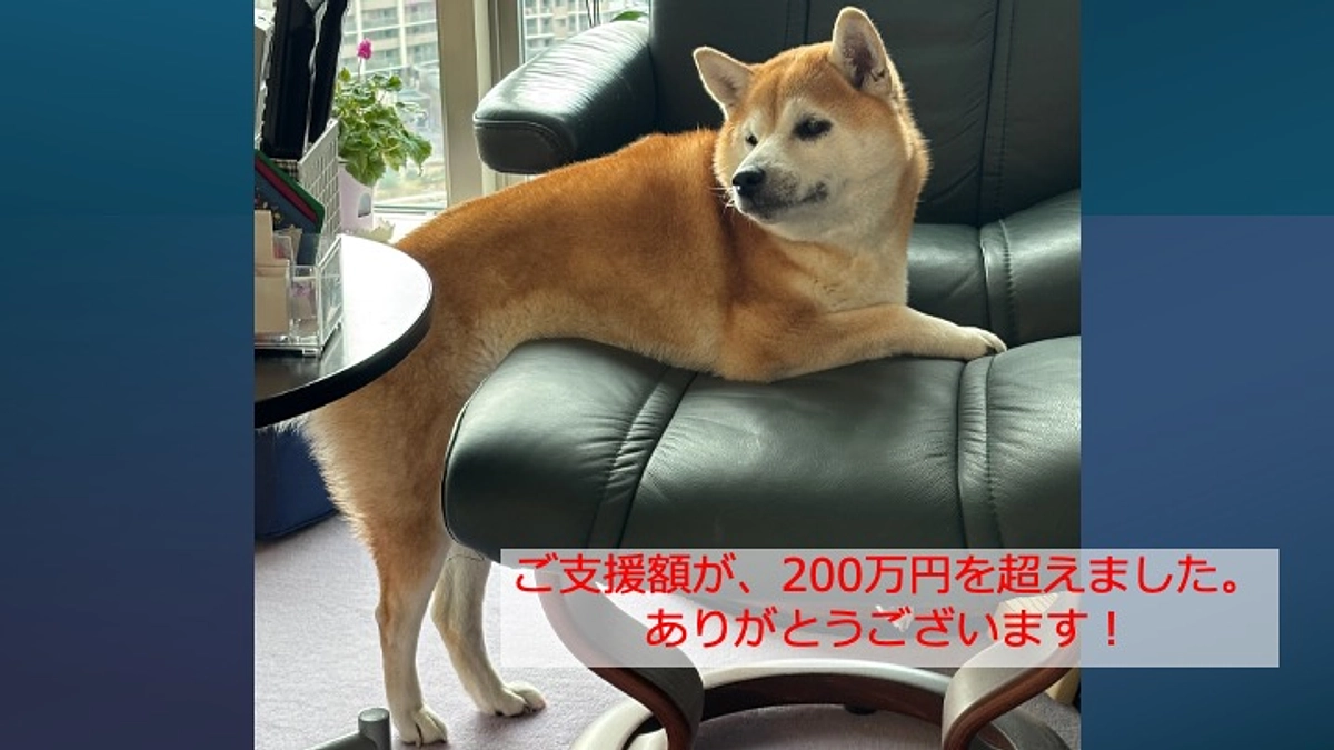 ご支援額が200万円を超えました！ありがとうございます。