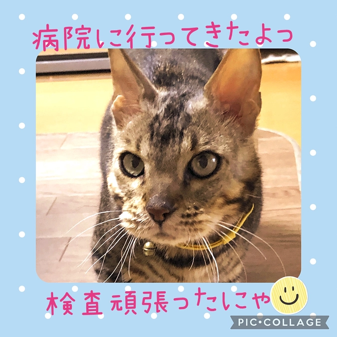 退院後1ヶ月検診でした