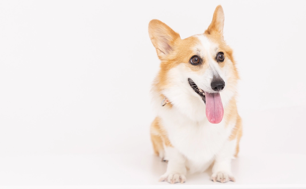 優ちゃんからの感謝のメール1