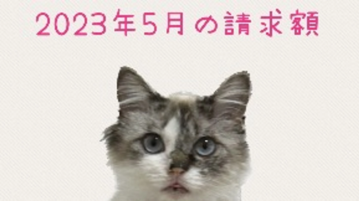 病院からの請求額　2023年5月