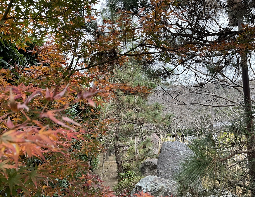 お披露目式典他の日取りが決まりました！