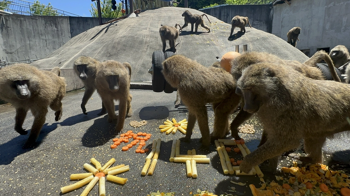 【クラファン活動報告65】140%達成！！！！