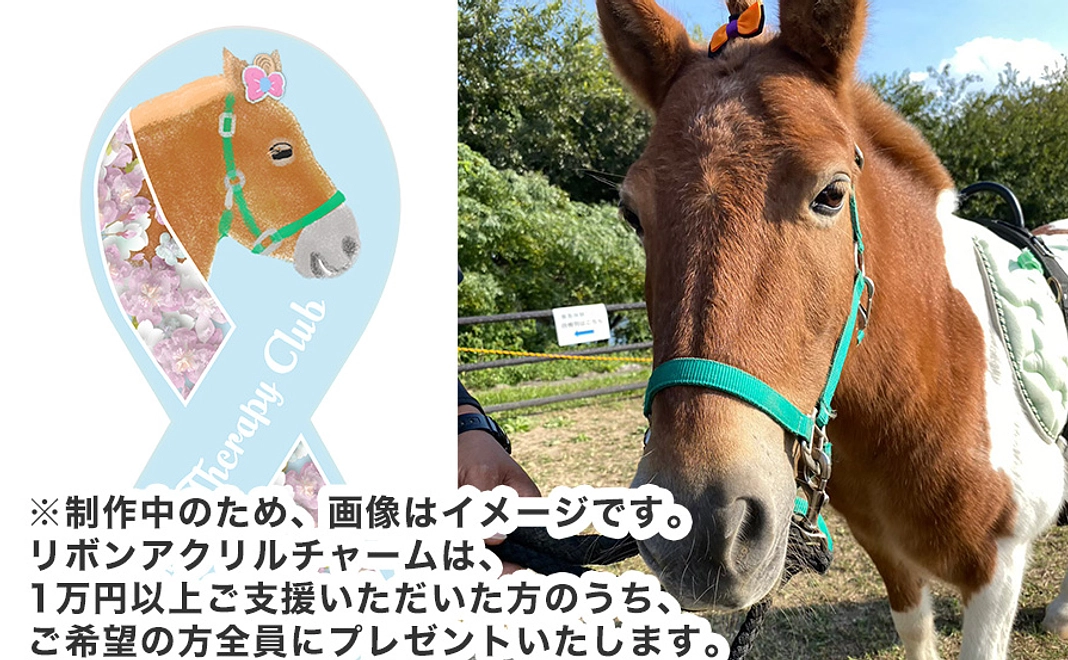 応援1万円コース