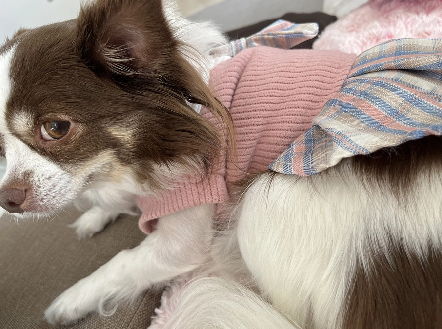 2023.12.27 クラウドファンディング残り23日となりました🔥