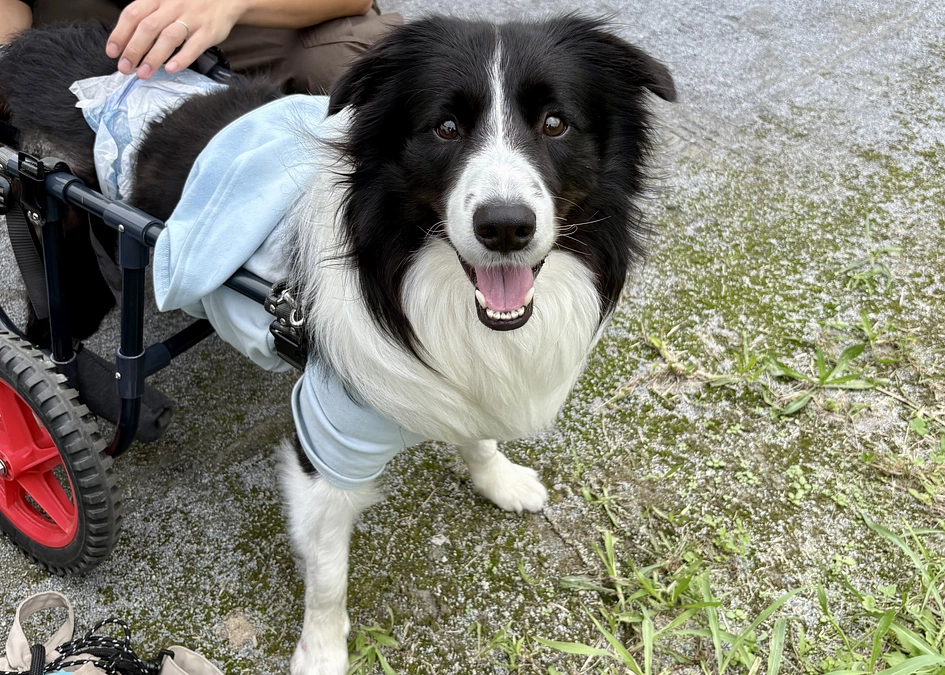 目標の65％を達成しました！