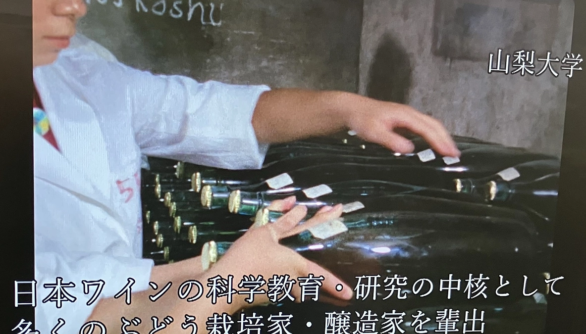 昭和42年当時の映像