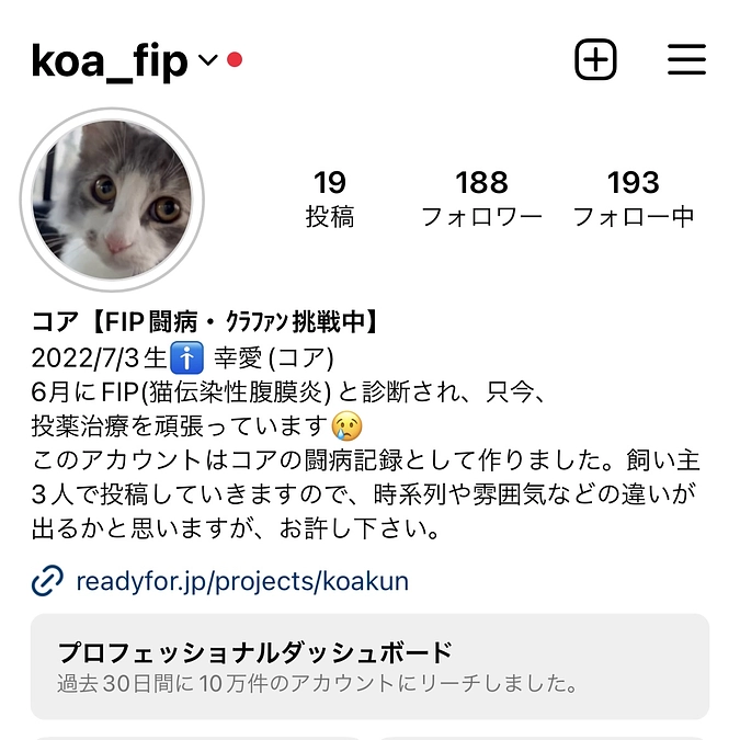 インスタグラムについて