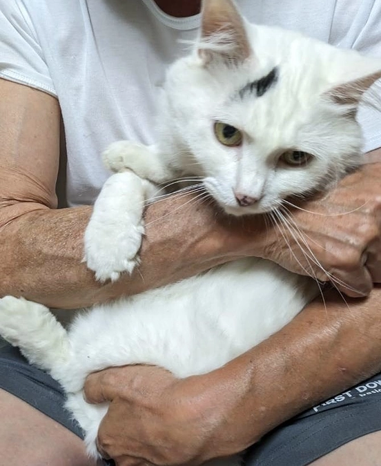 ❤️クラウドファンディング達成しました❤️