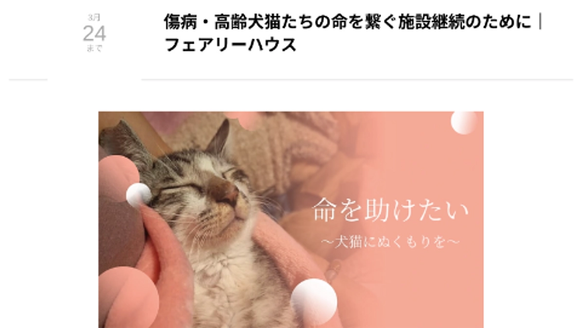 【20%突破！】クラウドファンディング名鑑に掲載していただきました