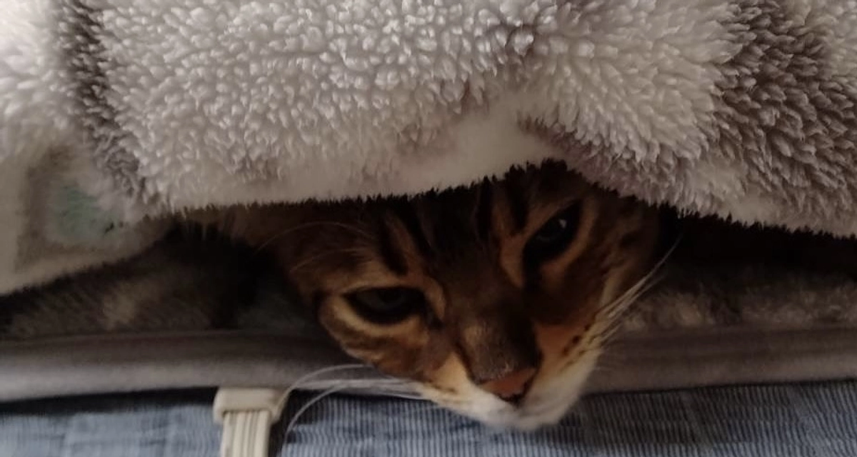 週2ペースでの通院継続中🏥