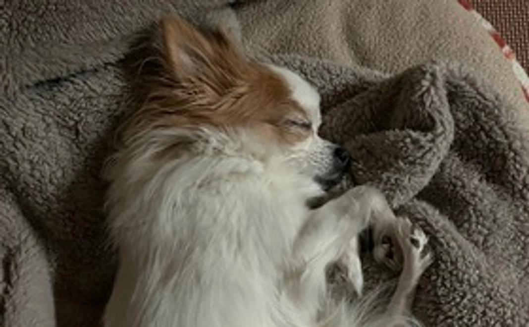 サラを助けたい①