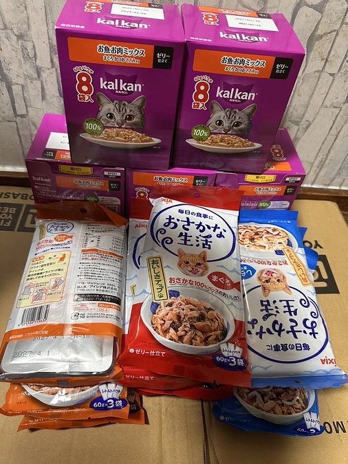 おはようございます☀️